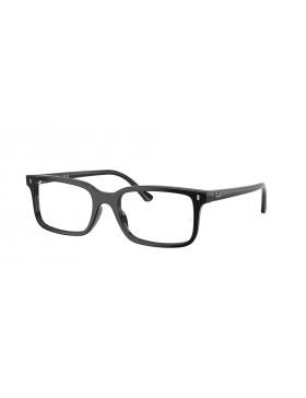RAY BAN 